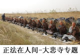 大悲寺专辑